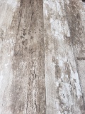 Driftwood - 6