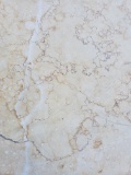 Jerusalem Gold Honed Limestone -  12