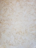 Jerusalem Gold Honed Limestone - 24