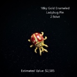 18kt Gold Enameled Ladybug Pin, 2.9dwt