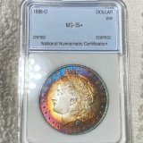 1885-O Morgan Silver Dollar NNC - MS65+