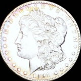 1891-CC Morgan Silver Dollar NEARLY UNC