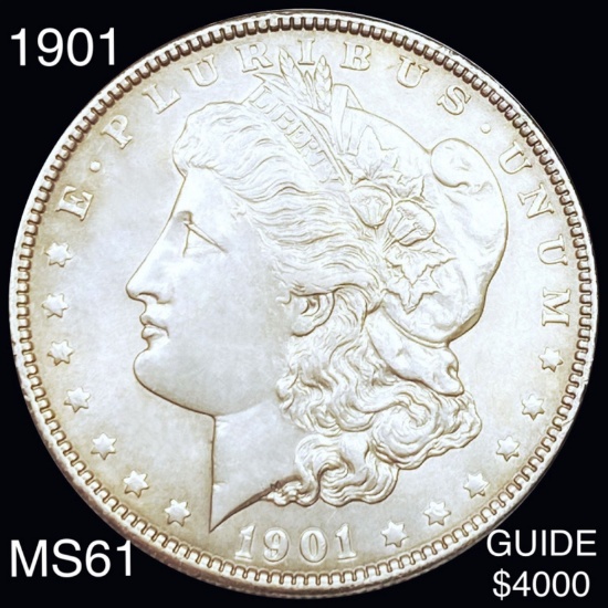 1901 Morgan Silver Dollar UNCIRCULATED