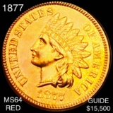 1877 Indian Head Penny CHOICE BU RED