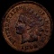 1898 Indian Head Penny LIGHTLY CIRCULATED