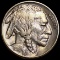 1919 Buffalo Head Nickel LIGHTLY CIRCULATED