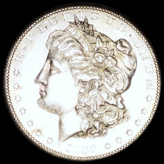 1889-S Morgan Silver Dollar CHOICE BU PL
