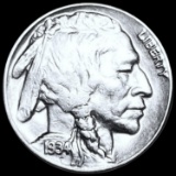 1934-D Buffalo Head Nickel CLOSELY UNC