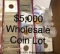 $5000 Wholesale Coin Lot Blowout Sale