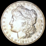 1881 Morgan Silver Dollar LIGHT CIRC