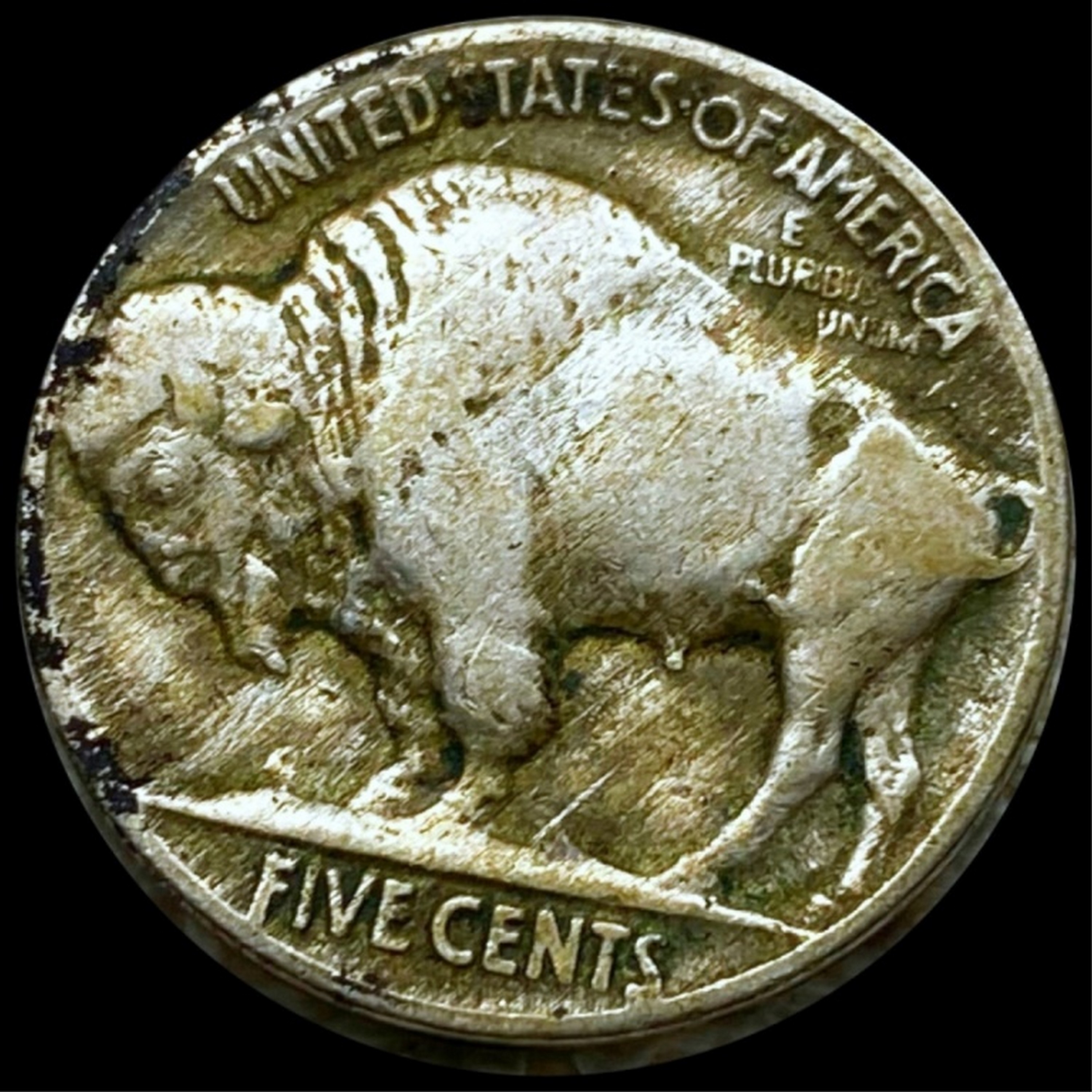 インディアンヘッド 1916年 バッファロー Five Cents 1916 Buffalo