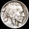 1913-D TY2 Buffalo Head Nickel NICELY CIRCULATED