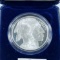 2001-D Buffalo Head Silver Dollar GEM PR 1Oz