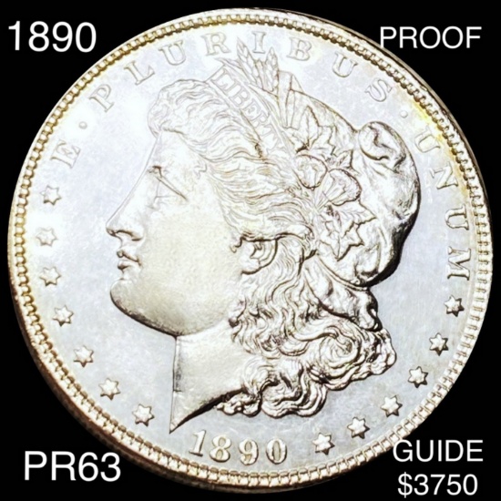 1890 Morgan Silver Dollar CHOICE PROOF