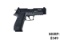 GSG Model Firefly .22 LR Semi-Auto Pistol