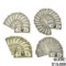 [82] 1950  Banded Paper Currency $10-$100