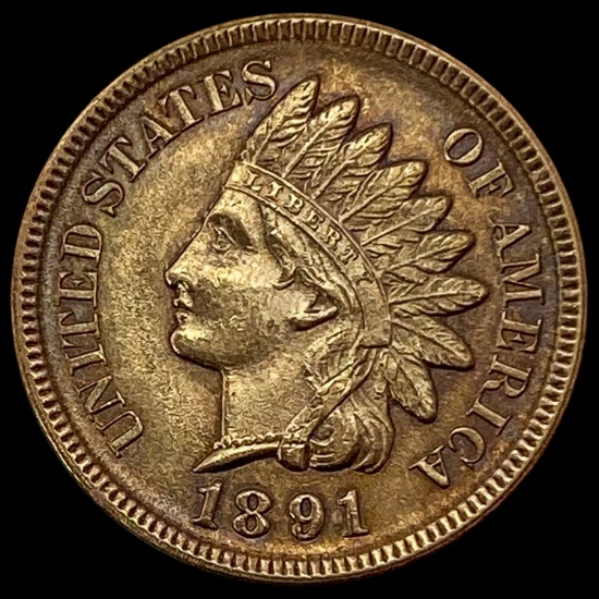 1891 Indian Head Cent UNCIRCULATED