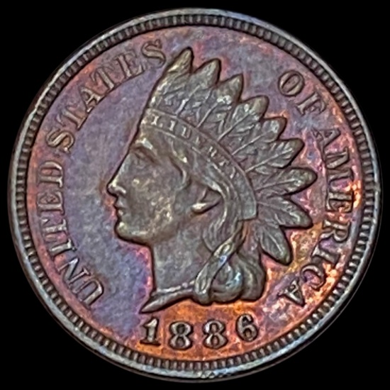 1886 Indian Head Cent UNCIRCULATED UNCIRCULATED
