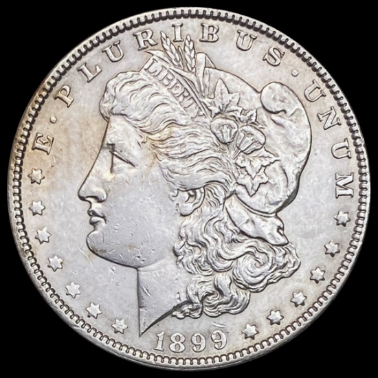 1899 Morgan Dollar UNCIRCULATED UNCIRCULATED