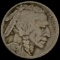 1921 Buffalo Nickel LIGHTLY CIRCULATED LIGHTLY CIRCULATED