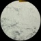 These images appear to be of a scratched UNCIRCULATED