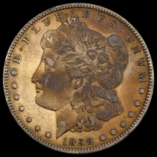 1899 Morgan Silver Dollar LIGHTLY CIRCULATED