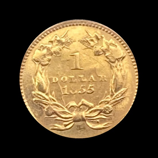 1855 Indian Princess Head Gold Dollar CLOSELY UNCIRCULATED
