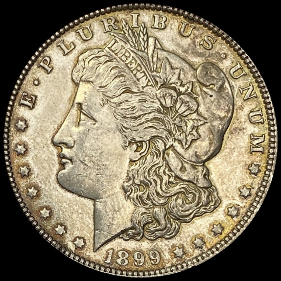 1899 Morgan Silver Dollar SUPERB GEM BU