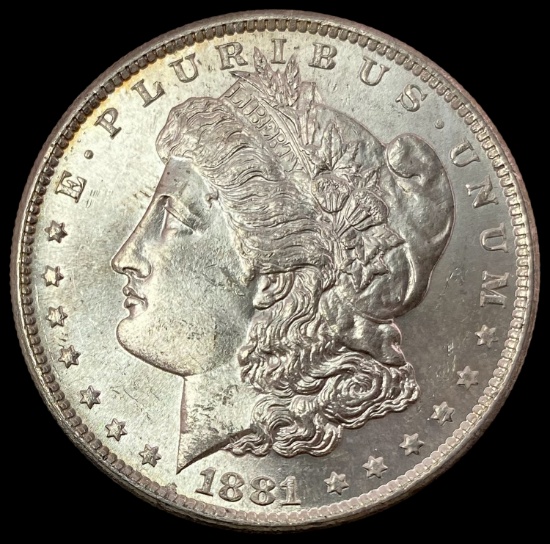 1881-S SILVER Morgan Dollar CHOICE BU