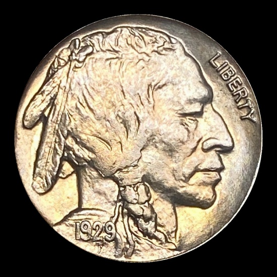 1929 Buffalo Nickel CHOICE BU