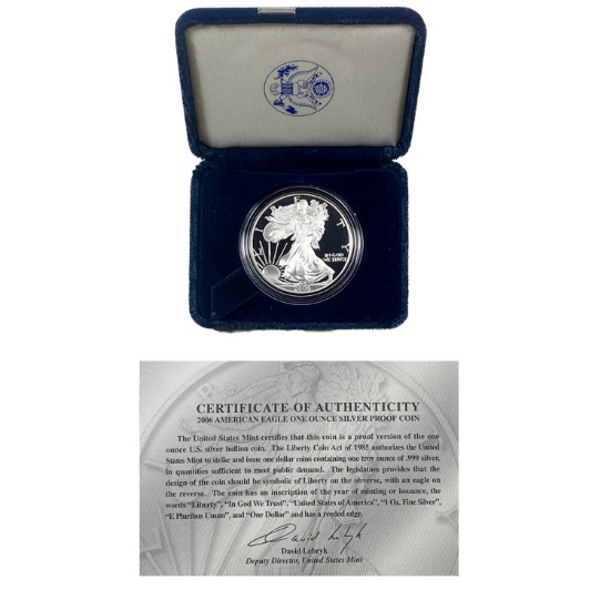 2006-W Silver Eagle
