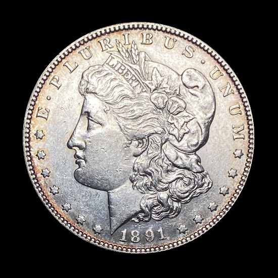 1891-S Silver Morgan Dollar UNCIRCULATED