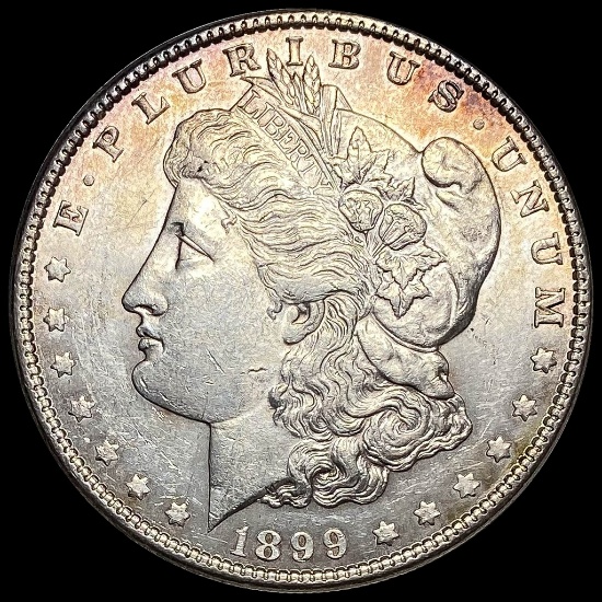 1899 Morgan Silver Dollar UNCIRCULATED
