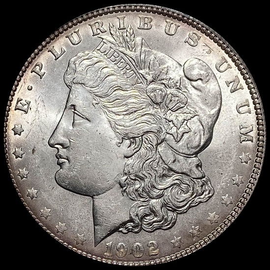 1902 Silver Morgan Dollar CHOICE BU