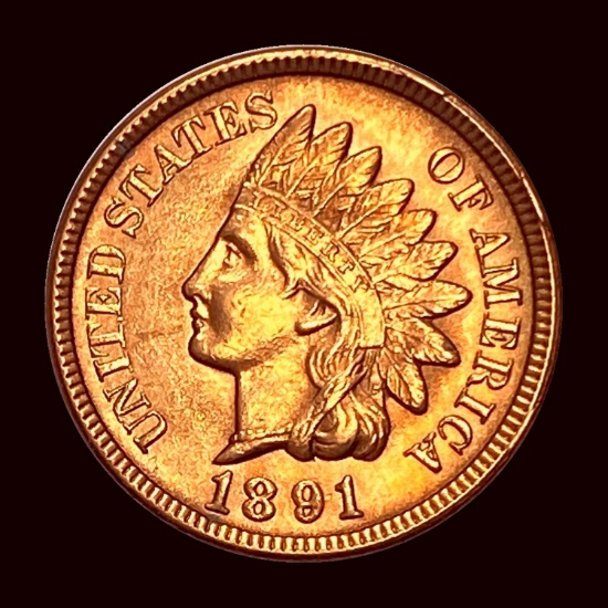 1891 Indian Head Cent UNCIRCULATED