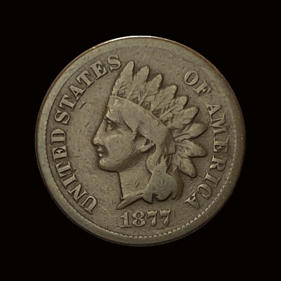 1877 Indian Head Cent LIGHTLY CIRCULATED