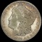 1899 Morgan Silver Dollar LIGHTLY CIRCULATED LIGHTLY CIRCULATED