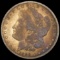 1899 Morgan Silver Dollar LIGHTLY CIRCULATED