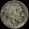 1924-D Buffalo Nickel LIGHTLY CIRCULATED