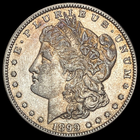 1899 Morgan Silver Dollar LIGHTLY CIRCULATED