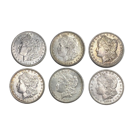[6]1879-1904 Assorted Morgan Dollars