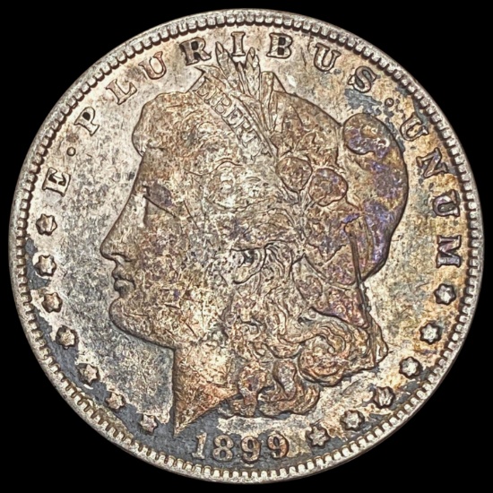 1899 Morgan Silver Dollar LIGHTLY CIRCULATED LIGHTLY CIRCULATED