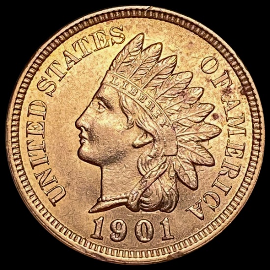 1901 Indian Head Cent CHOICE BU