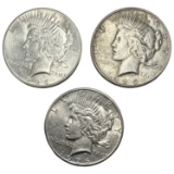 1925-1926 Better Date Silver Peace Dollar [3 Coins]