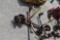 Gmc Top Kick Front Axle