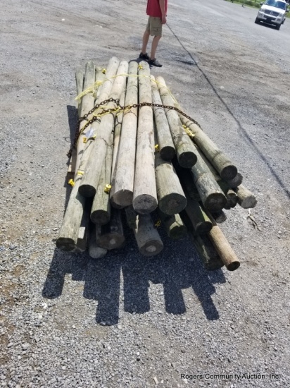 Treated Fence Posts