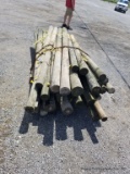 Treated Fence Posts