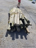 Treated Fence Posts