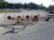 3pt Wheel Rake