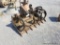 Universal Mount Grapple Bucket